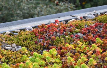the cost of Hollow Meadows green roof installation