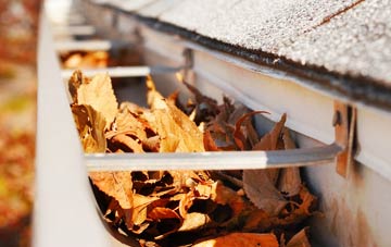 Hollow Meadows gutter cleaning companies