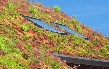 Hollow Meadows living roof systems