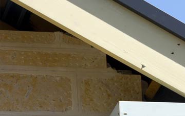 soffit repair Hollow Meadows